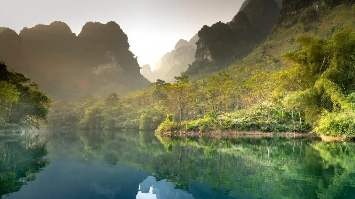 高端高端